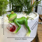 🐸 Žába Závěs na květináč Ornament🍷