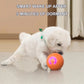 🎁Interaktivní míček Smart Pet Bounce🐶