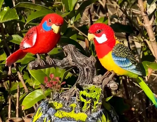 🦜ELEKTRYCZNE, STEROWANE BATERYJNIE PAPUGI GŁOSOWE - OŻYW SWÓJ OGRÓD