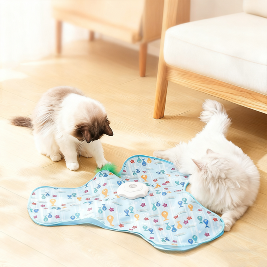 🐈 pro kočky 2 v 1 na schovávanou