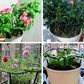 🌱 OMEZENÁ AKCE 50% SLEVA! 🔗 Modulární růstové kruhy pro rostliny – Nastavitelné odolné & opakovaně použitelné