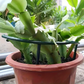 🌱 OMEZENÁ AKCE 50% SLEVA! 🔗 Modulární růstové kruhy pro rostliny – Nastavitelné odolné & opakovaně použitelné