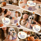 🔥POSLEDNÍ DEN SLEVA 50 %🧵Halloweenská DIY patchworková sada Malého ducha