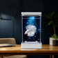 🐟 Akvárium pro bettu s 7barevnými LED světly – Čirý akrylát kompaktní vertikální design nabíjení přes USB. Perfektní na psací stůl a noční stolek – vytváří klidnou atmosféru! ✨🌙